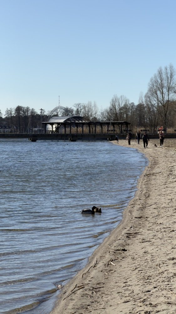 Plaża i brzeg jeziora w Morzyczynie